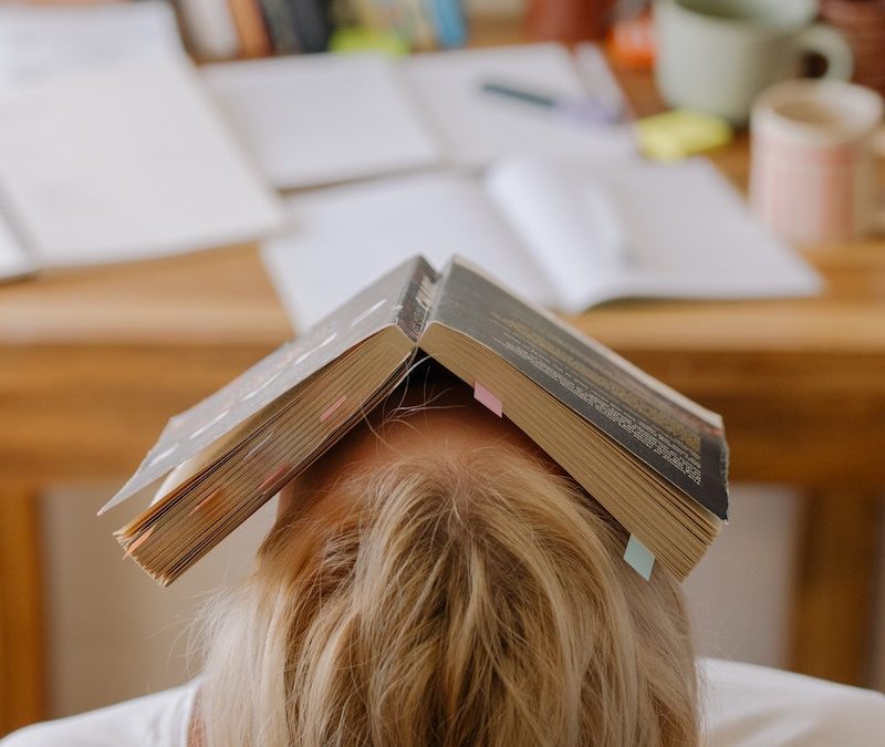 University Course Choices